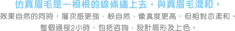 原理：仿真眉毛是一根根的線條繡上去，與真眉毛混和，效果自然的同時，層次感更強、較自然、像真度更高，但相對亦柔和。整個過程2小時，包括咨詢、設計眉形及上色。