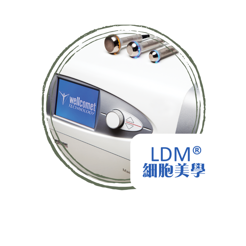 LDM