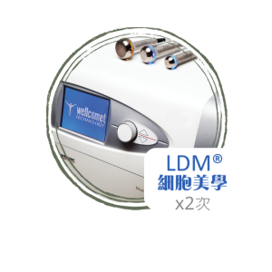 LDM細胞美學